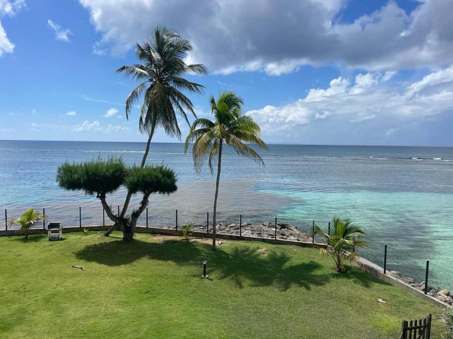 Ti Macloa - Appartement Les Pieds Dans L'Eau Sainte-Anne  Dış mekan fotoğraf